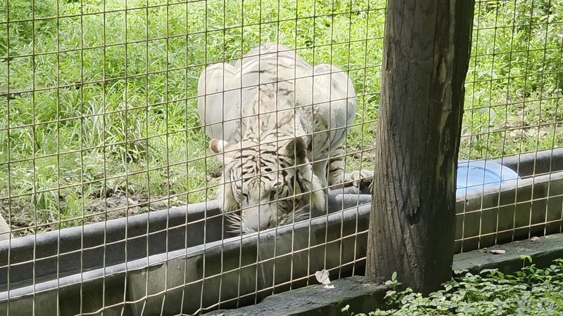 Understanding The Sanctuary's Unique Payment Policy