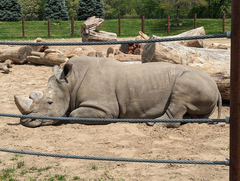 Playground, Snacks, And Places To Spread A Blanket