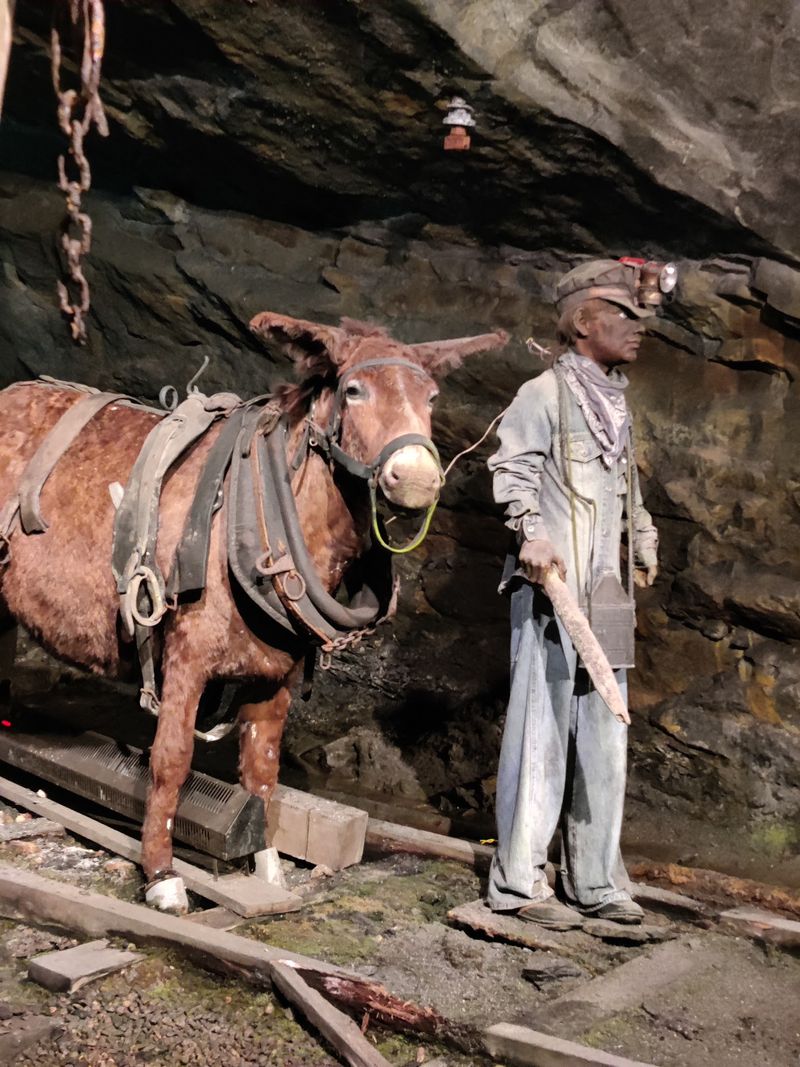 Mule Boys, Nippers, And Other Underground Jobs