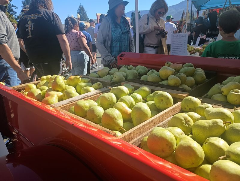 Kelseyville Pear Festival, Kelseyville
