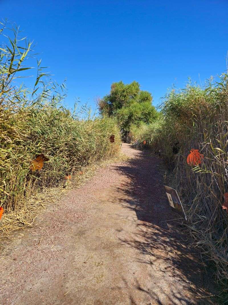 Wetlands Park Nature Center, Las Vegas, Nevada