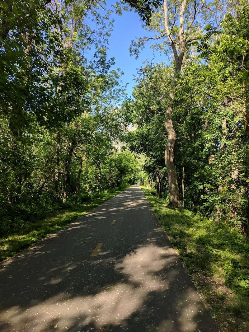 Norwottuck Rail Trail, Northampton, Hadley, Amherst, And Belchertown