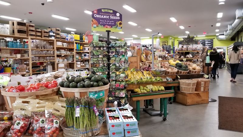 Common Crow Natural Market
