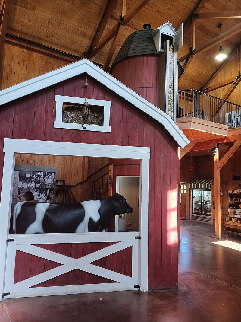 A Working Dairy Barn Inside Cook County
