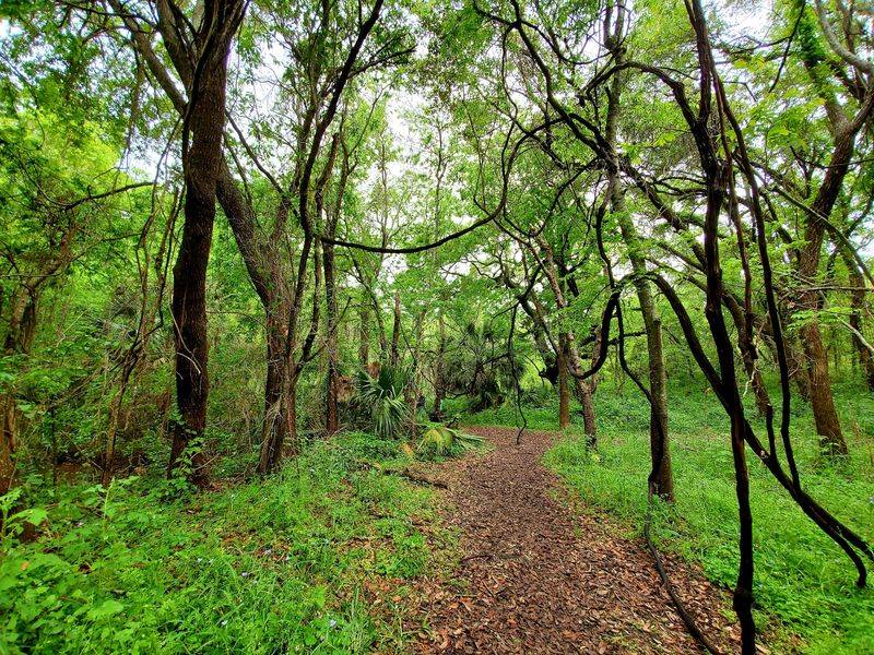 Indian Shell Mound Park