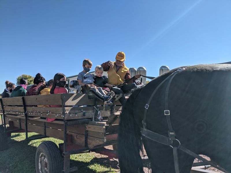 Hayrides And Wagon Trips Through The Countryside