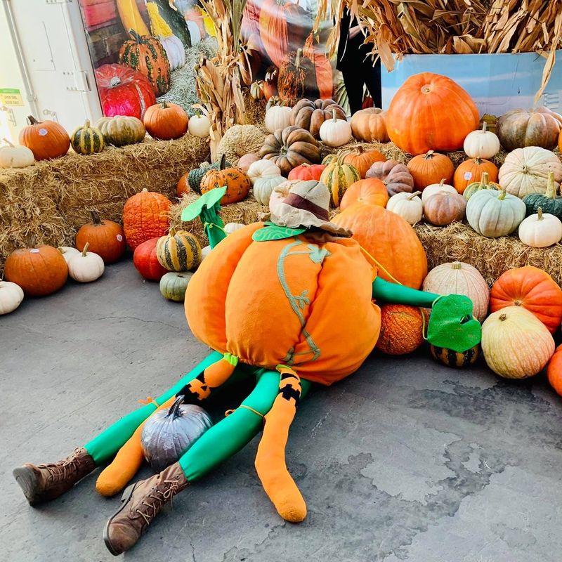 Manteca Pumpkin Fair-Manteca Sunrise Kiwanis, Manteca, CA