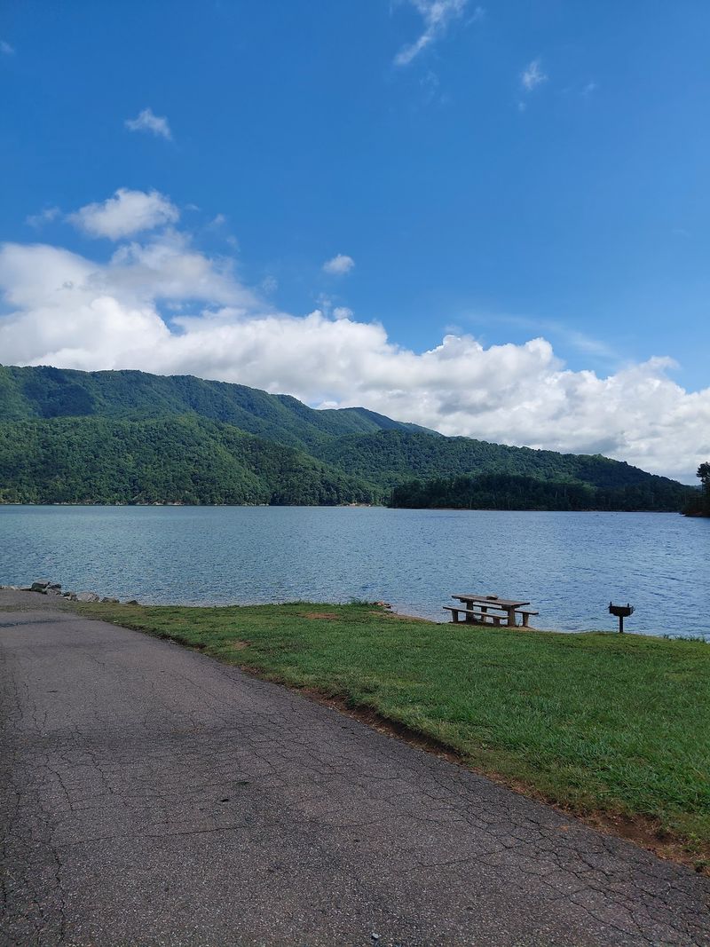 Watauga Point Picnic Area Loop, Watauga Lake