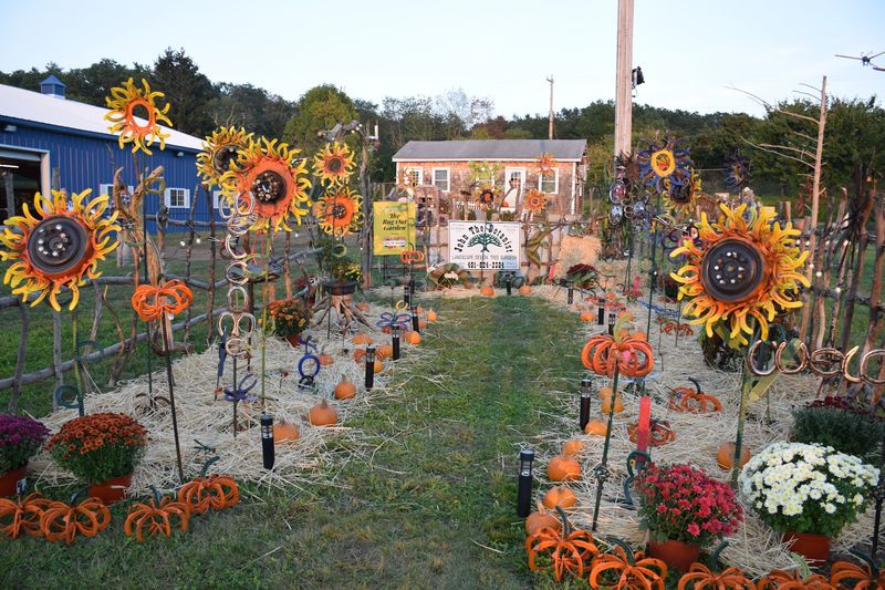 South Coast Harvest Festival