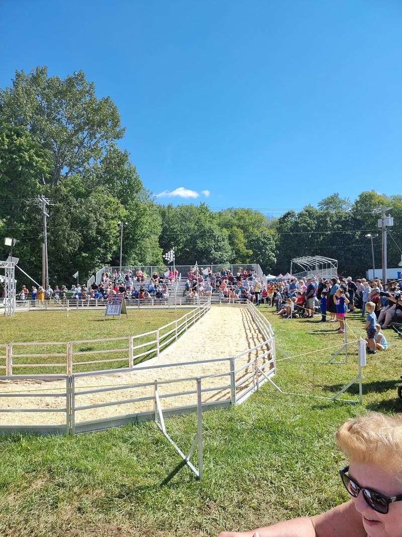 Goats On Obstacle Courses And Showmanship Rings