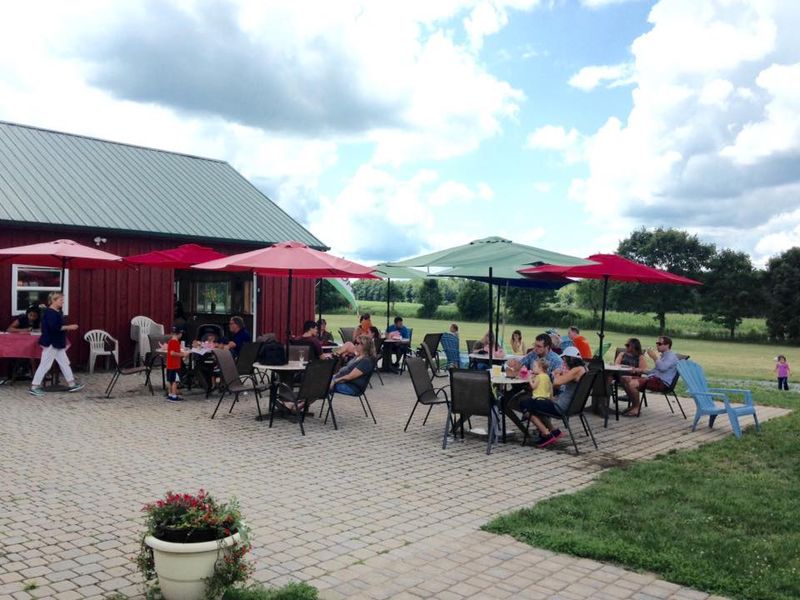 Critz Farms and Critz Farms Brewing & Cider Co., Cazenovia, NY