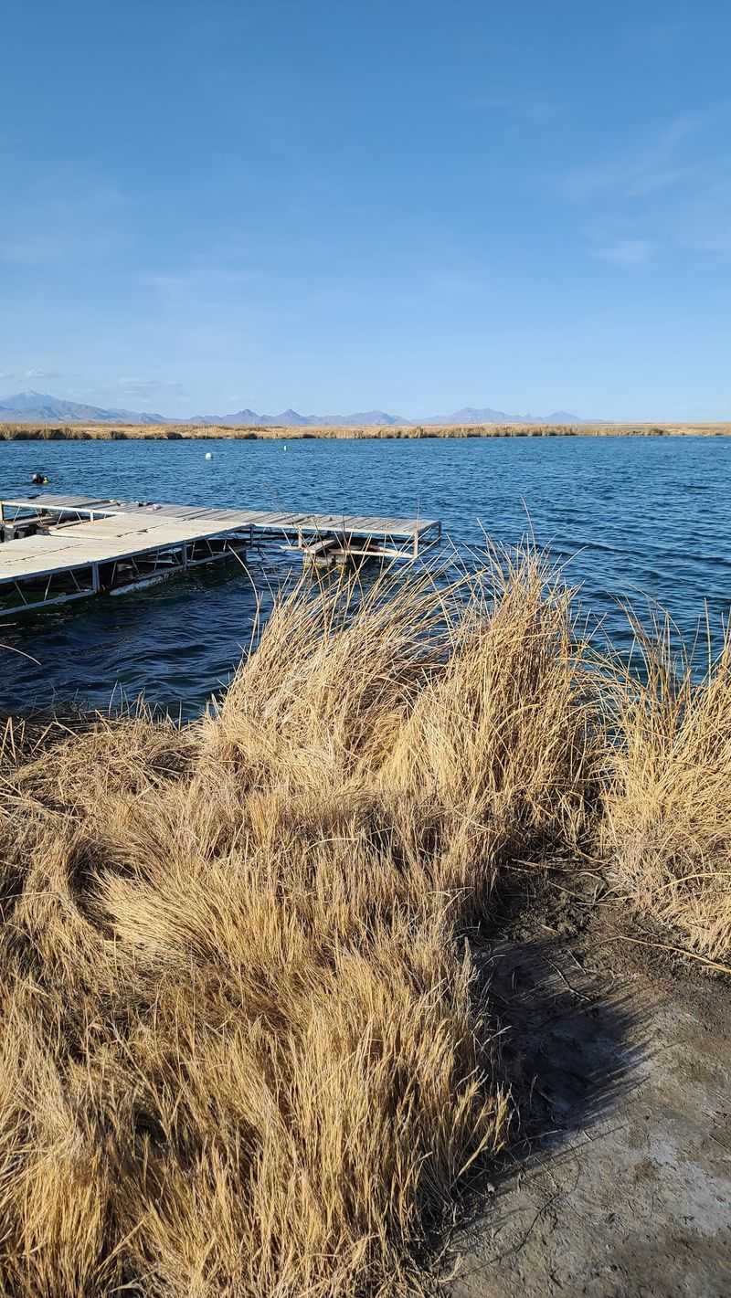 Boardwalks, Marsh Grass, And Big Night Skies