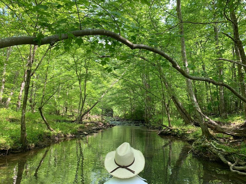 A Record Catfish Once Lived Here