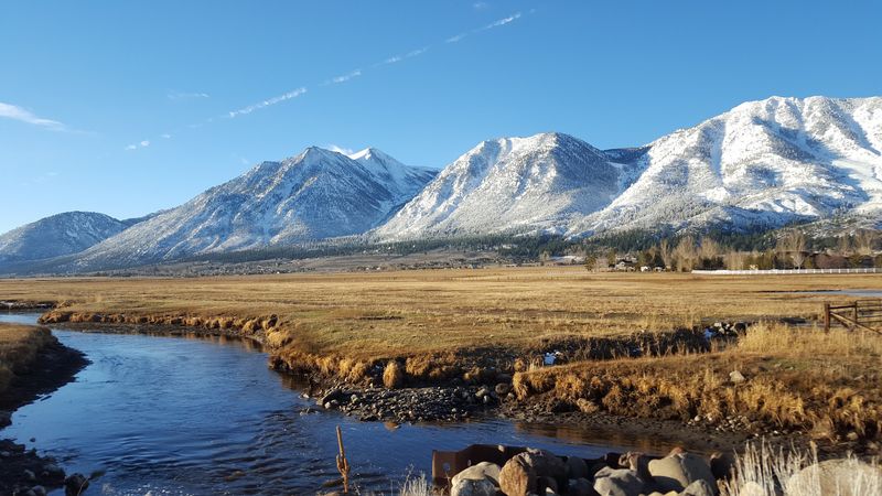 Carson Valley Sightings Reach Minden And Gardnerville
