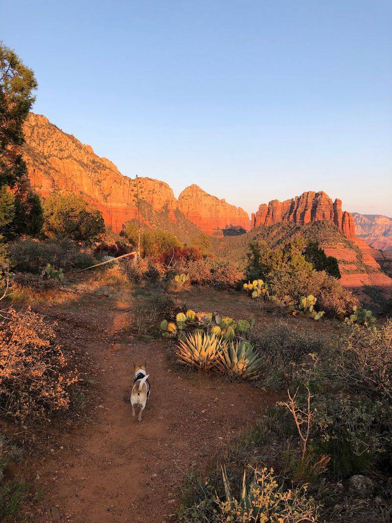 Brins Mesa Trail, Sedona