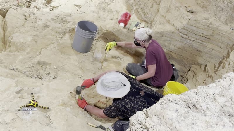 Watch Real Scientists Brush Away Time