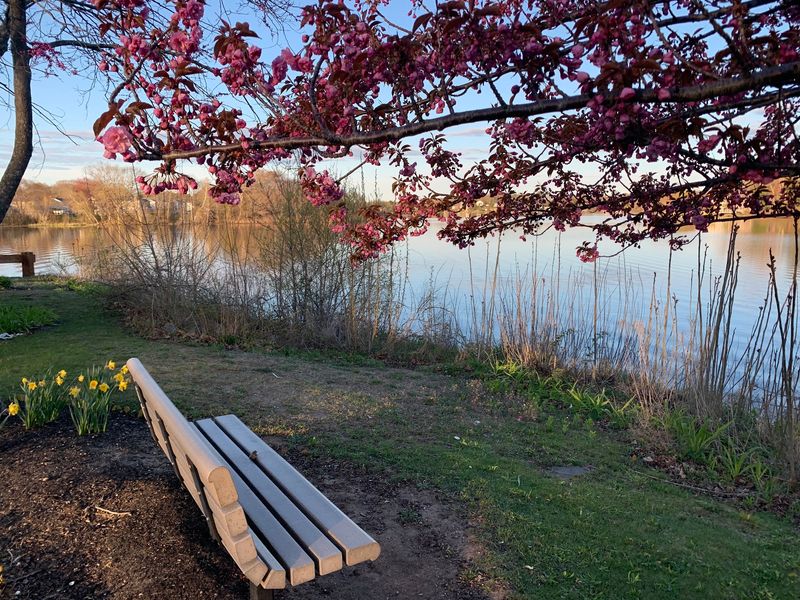 Houghton's Pond Recreation Area