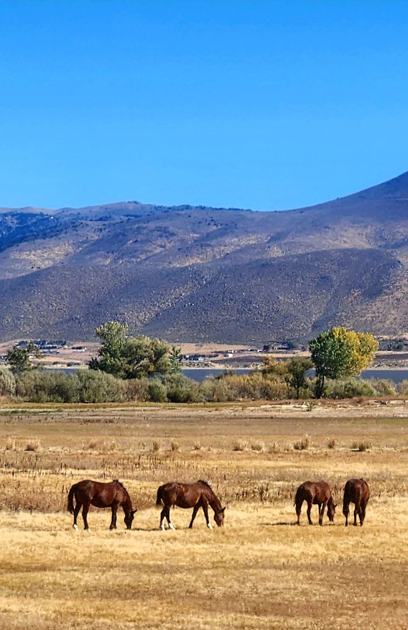 Washoe Lake State Park, New Washoe City