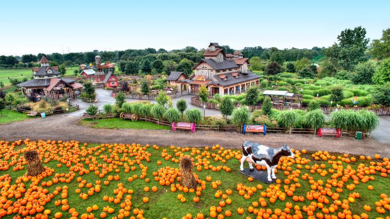 A Pumpkin-Season Playground in Will County