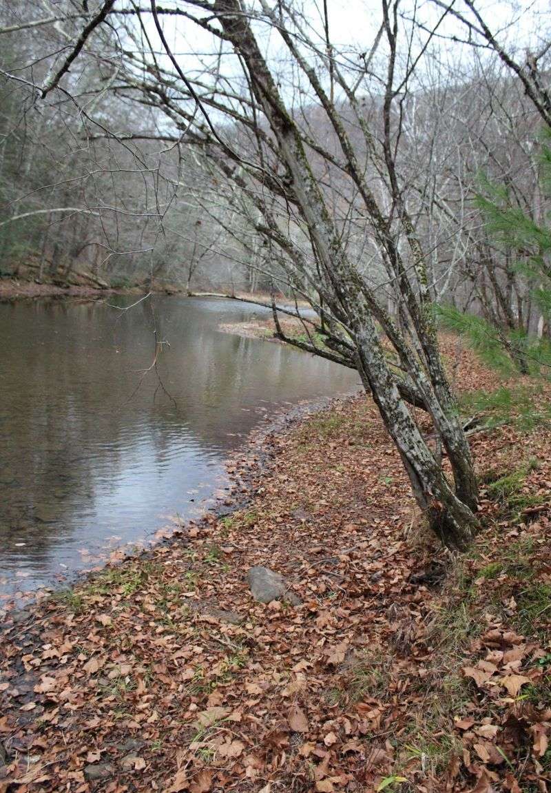 Seasonal Changes And Their Impact On Scenery