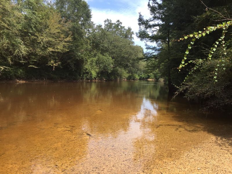 Black Creek Trailhead - Fairley Bridge Landing, Wiggins, MS