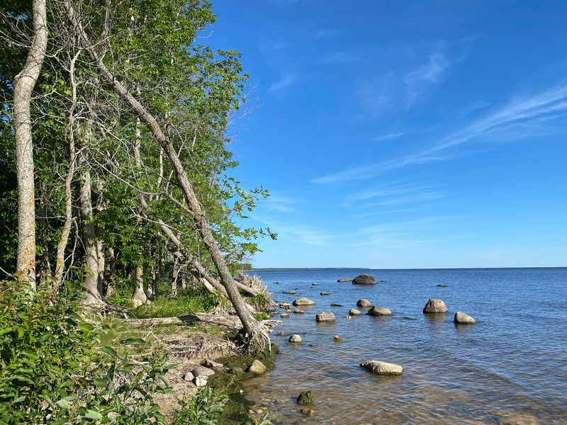 Long Shoreline Walks With Driftwood Scenery
