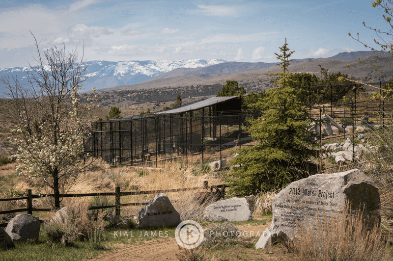 Trails Built For Wandering, Not Rushing