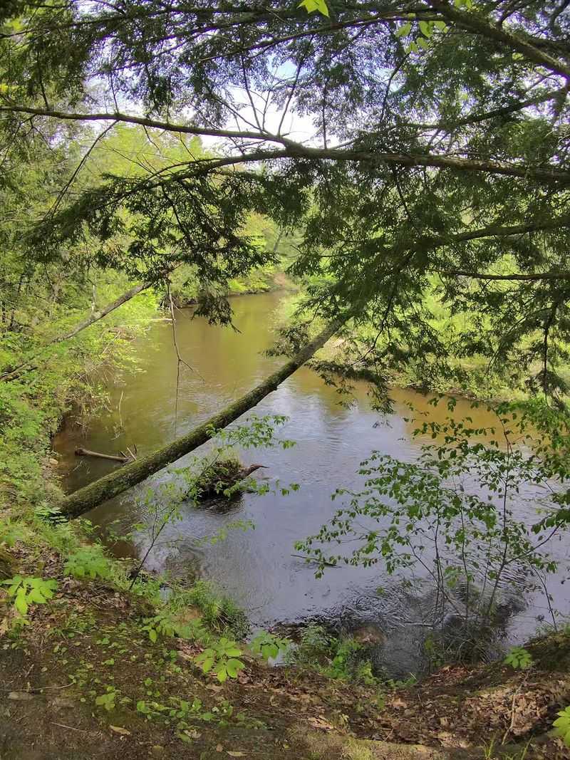 Silver Creek State Forest Campground, Luther, MI