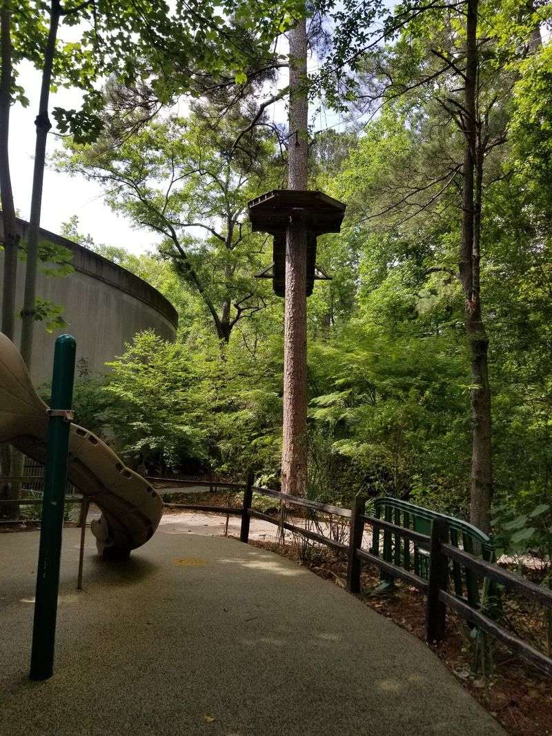 Dinosaurs, Treehouses, And Splashy Adventures