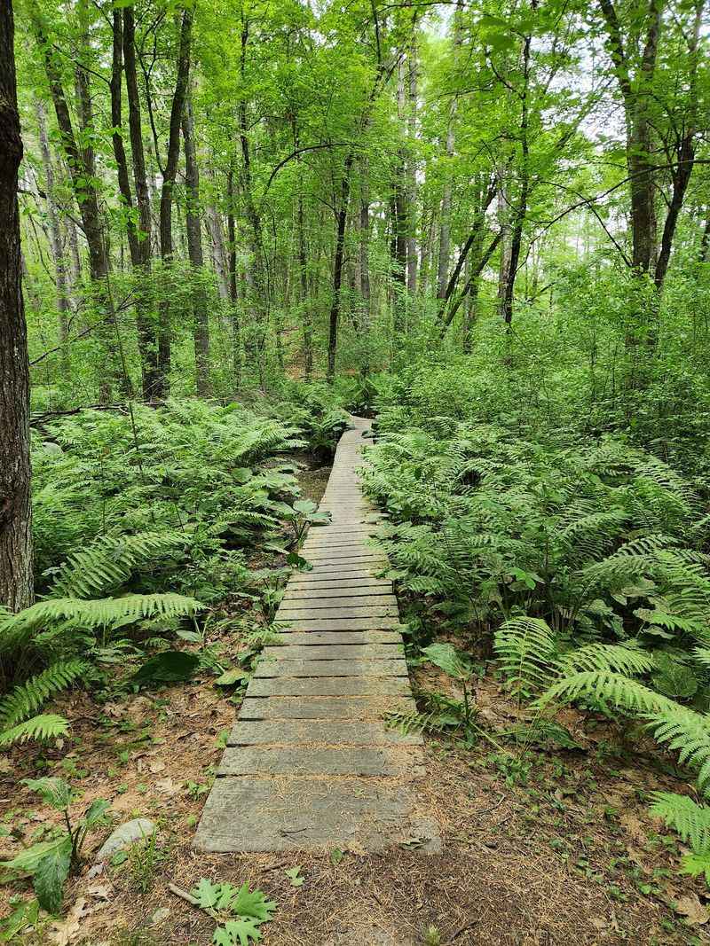 Great Brook Farm State Park