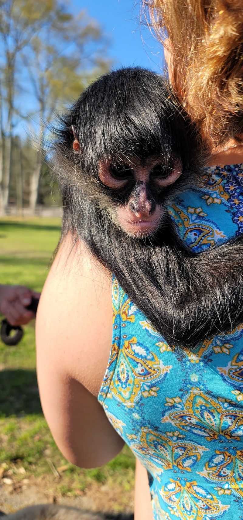 Safari Tails Adventures, Lumberton, MS