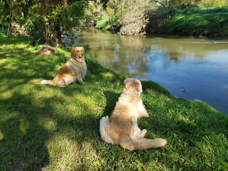 Water Clear Enough For Pebble-Counting