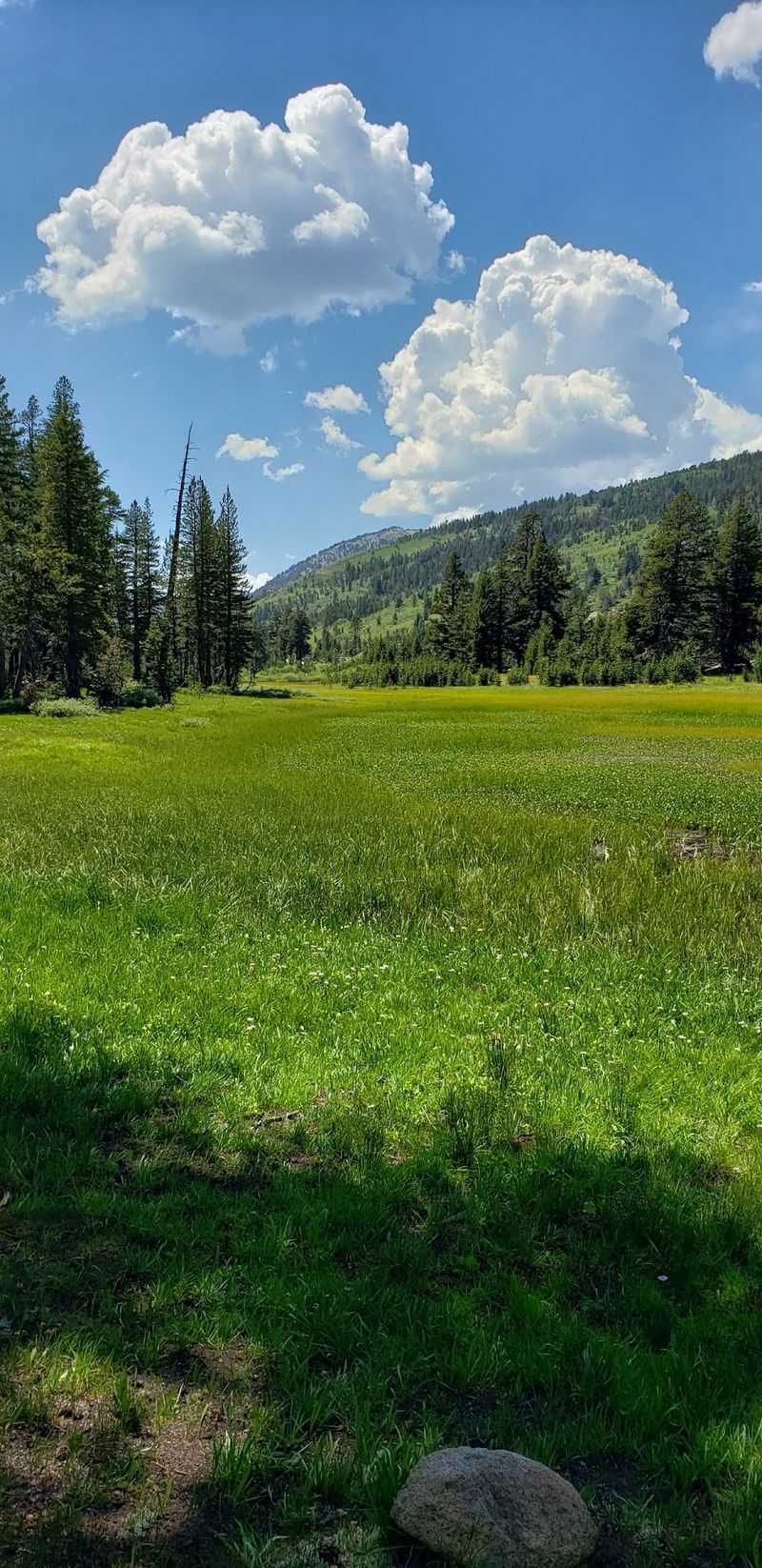 The Long Drop Down Ophir Creek