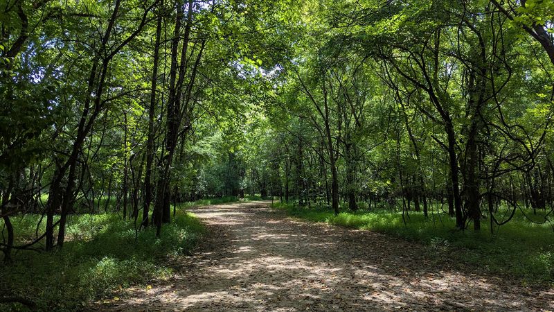 A Nature Center That Answers Your Trail Questions