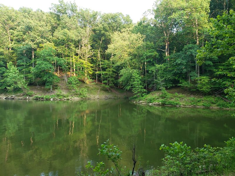 Trails Through Woods And Bluffs