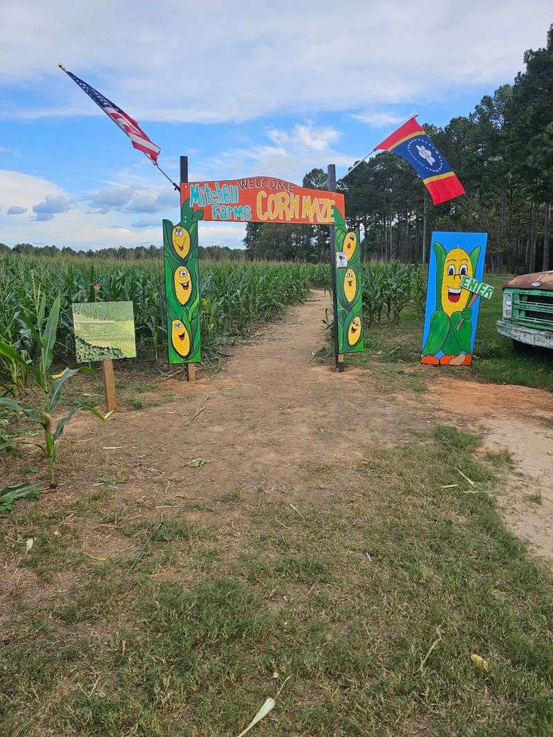 Five Acres Of Friendly Confusion