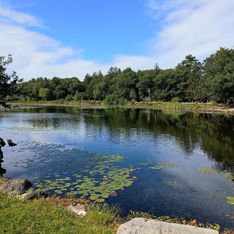 D.W. Field Park, Brockton