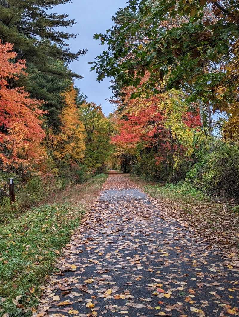 Nashua River Rail Trail