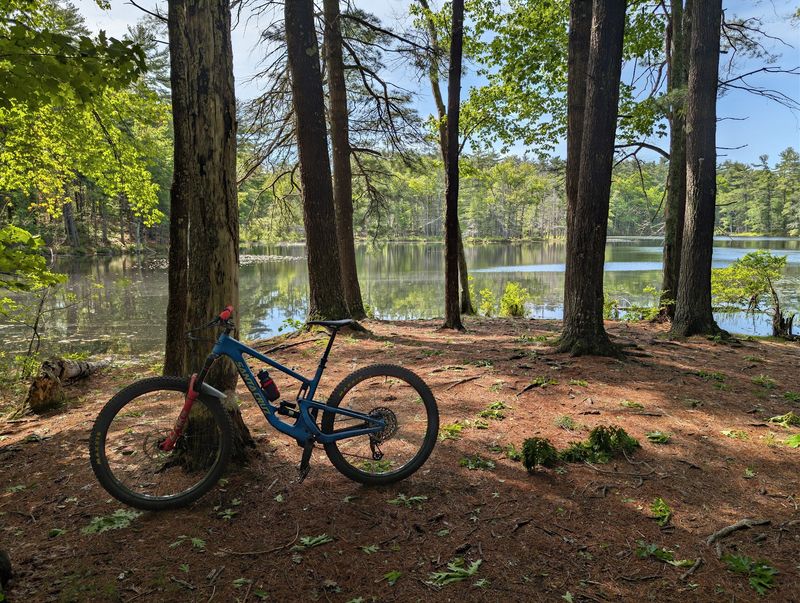 Harold Parker State Forest