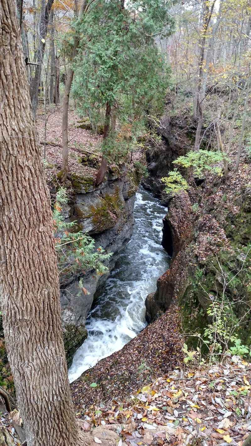Clifton Gorge State Nature Preserve, Yellow Springs, OH