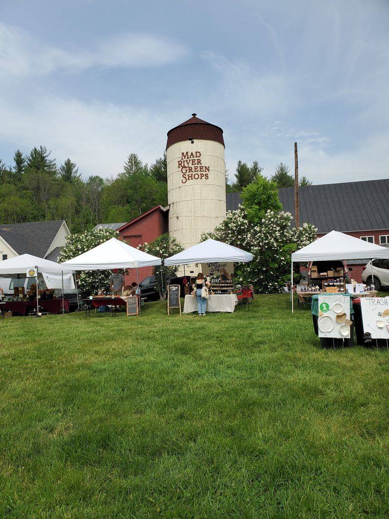 Live Music On The Lawn