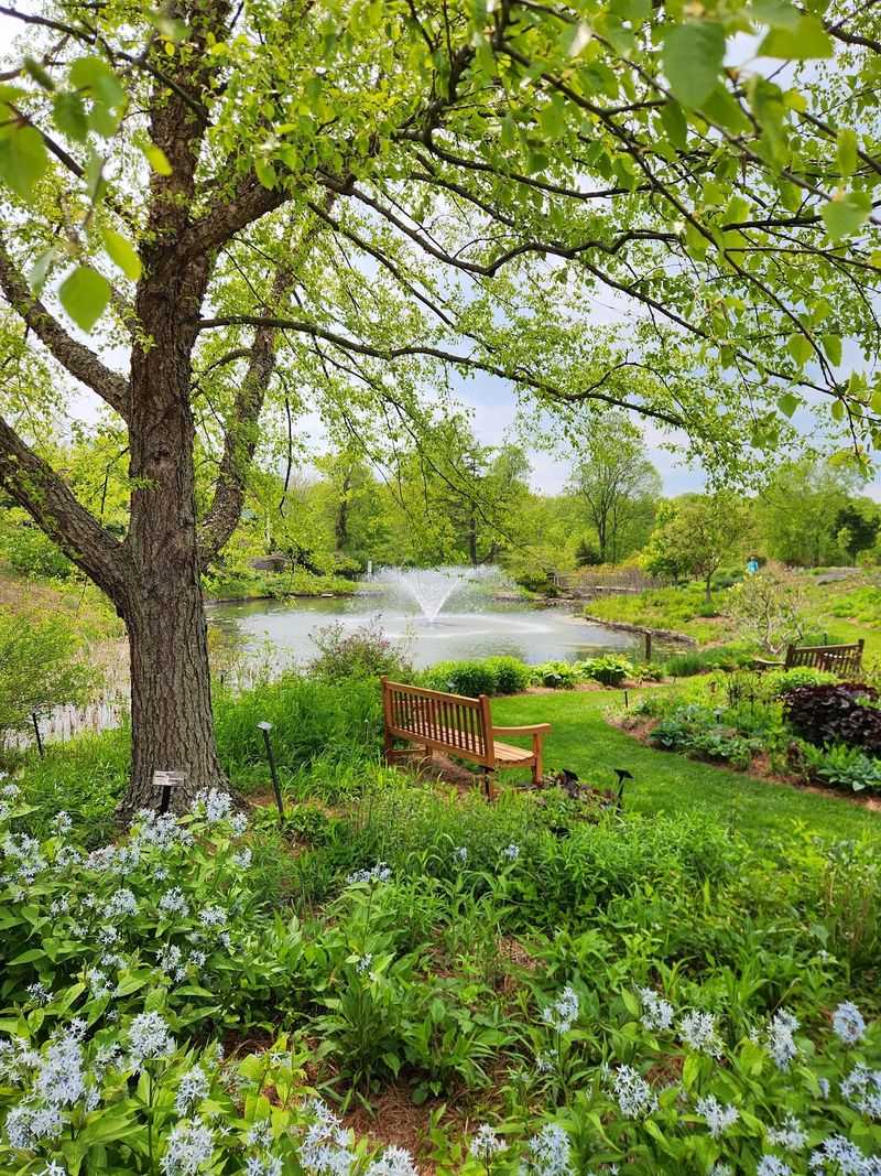 Butterflies, Pollinators, and Peak Season