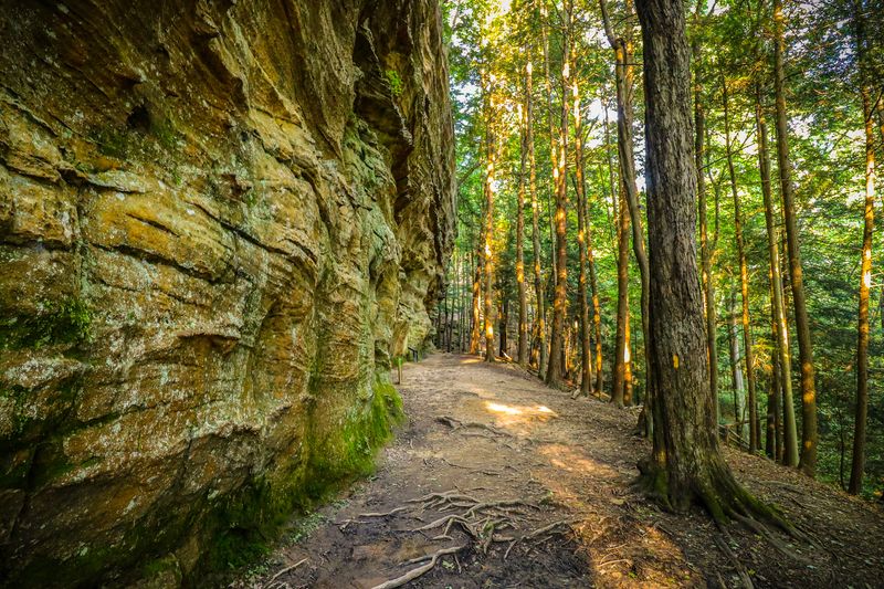 Hemlock Bridge Trail - Hocking Hills State Park