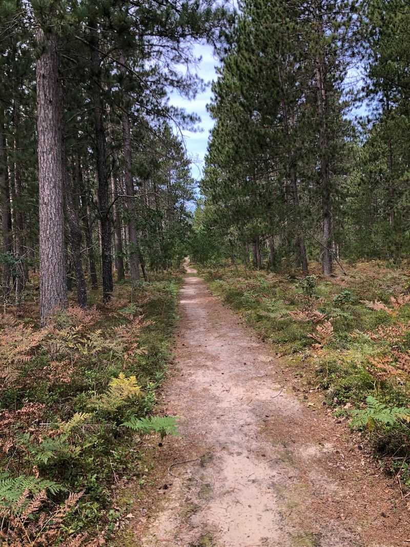 Trails That Keep On Going