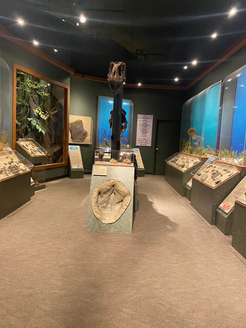 Fossils From Tennessee Rock and Beyond