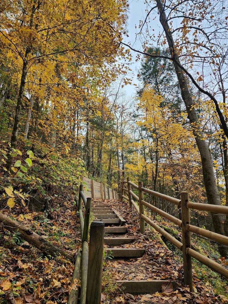 Falls Overlook Trail At Cummins Falls