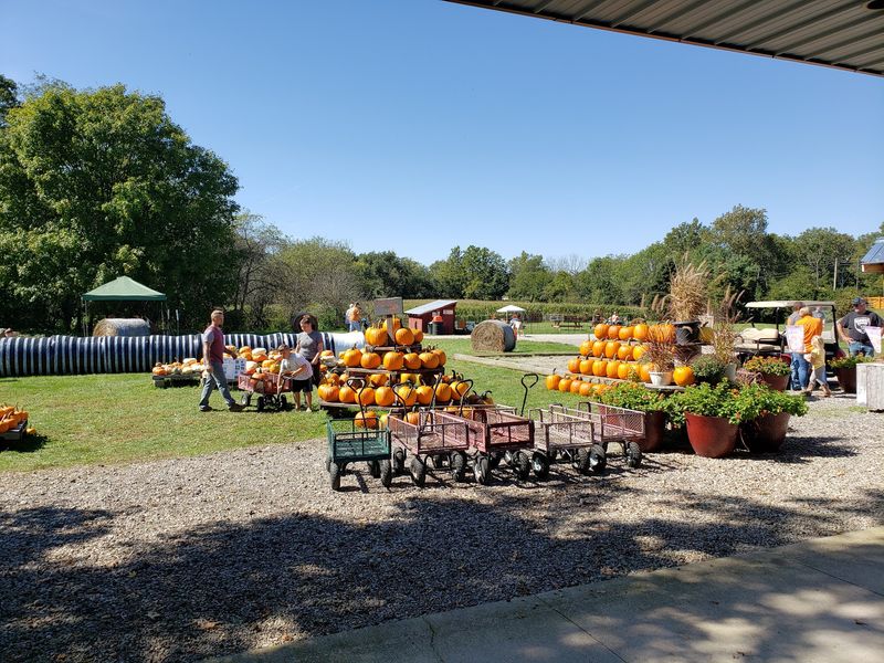 Lohstroh Family Farms, Mt Sterling, OH