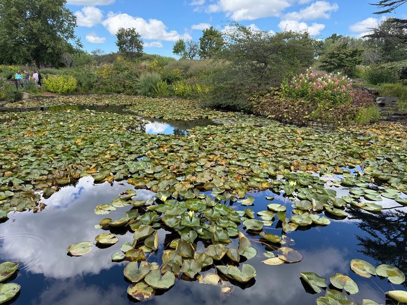 Gardens, Ponds, and Corning Lake
