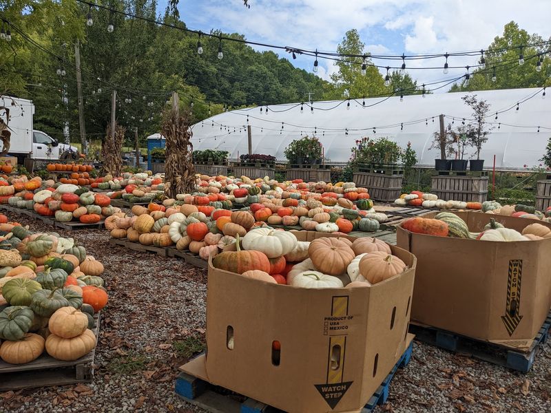 Give Yourself Time To Enjoy The Full Fall Experience