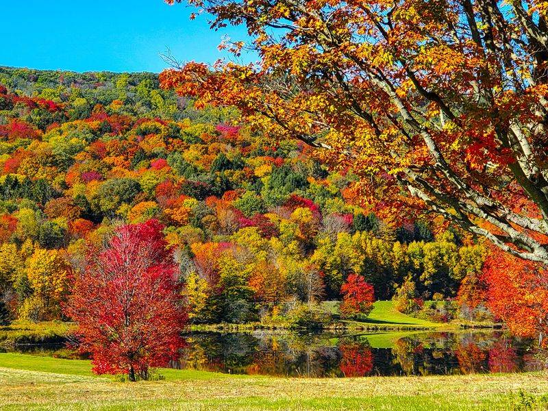 Four Seasons Worth Circling On The Calendar